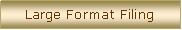 Text Box: Large Format Filing